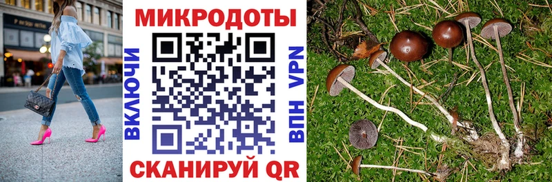 наркошоп  Северодвинск  Галлюциногенные грибы GOLDEN TEACHER 